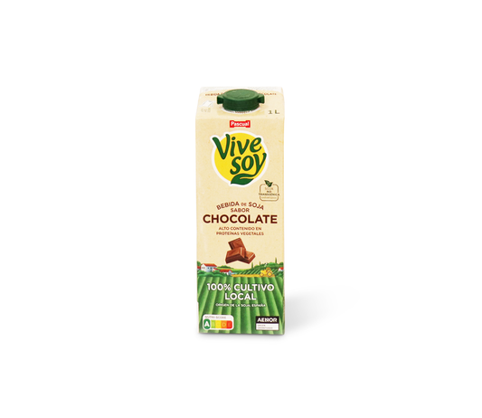 Pascual ViveSoy Soy Chocolate Milk