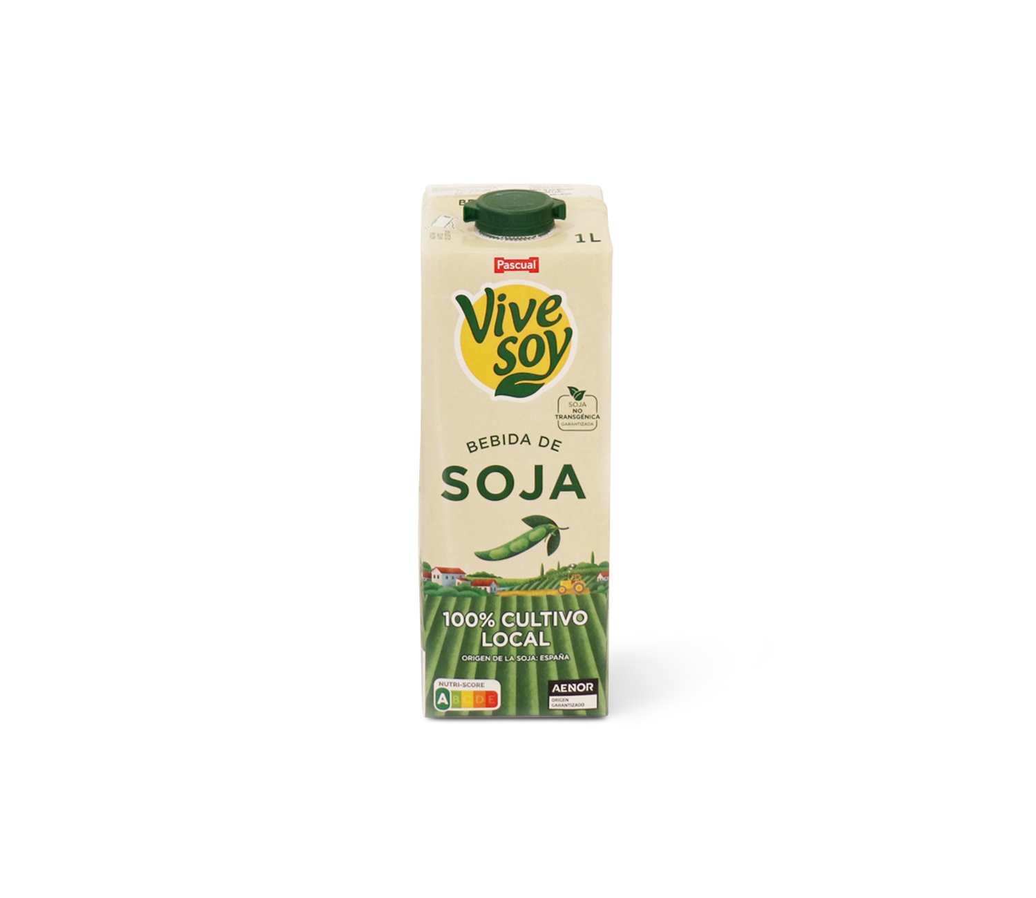 Pascual ViveSoy Soy Milk